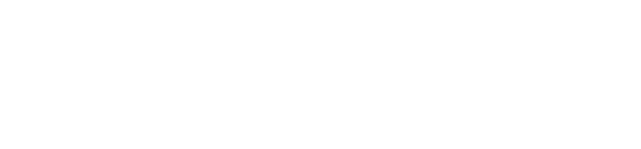 dati-white